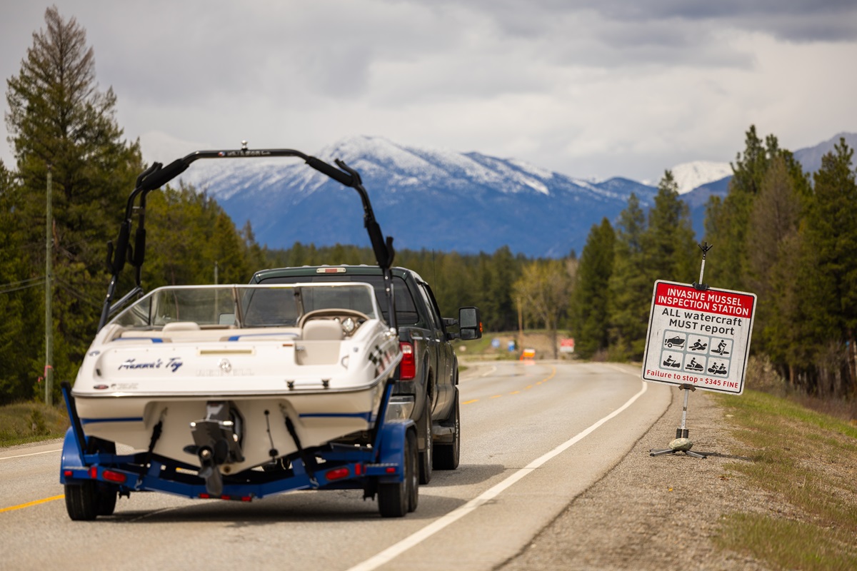 Boat Inspection Stations Keeping A Lookout For Invasive Mussels - My ...